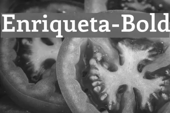 Enriqueta-Bold Example 2