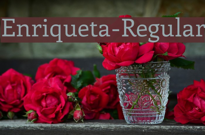 Enriqueta-Regular Font examples