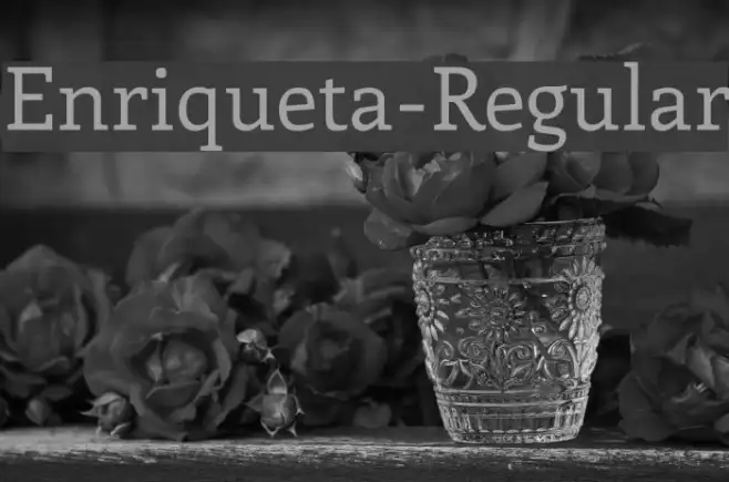 Enriqueta-Regular Example 2