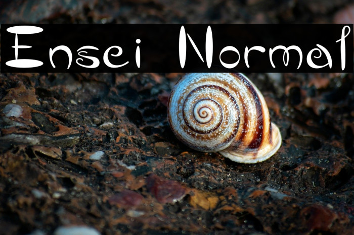 Ensei Normal Example 1