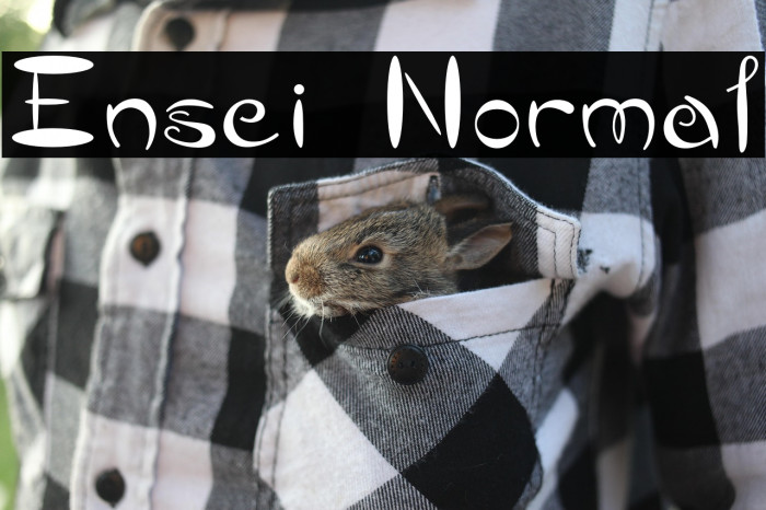 Ensei Normal Example 2