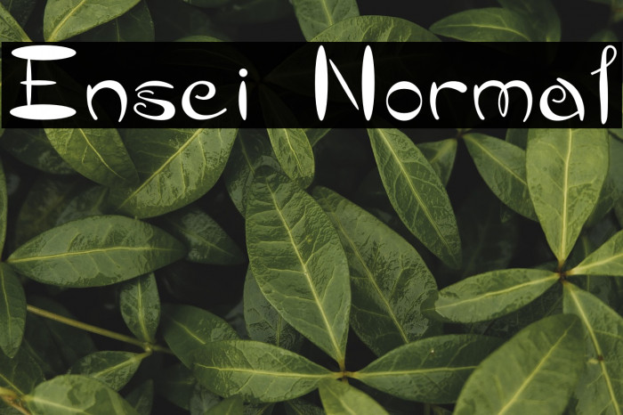 Ensei Normal Example 3