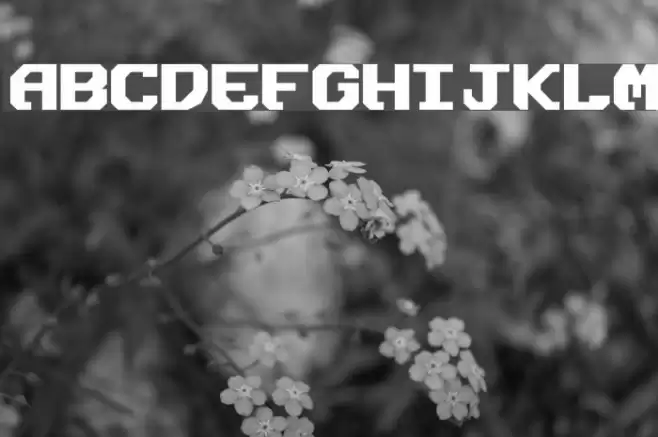 Ensign Flandry Bold Font examples