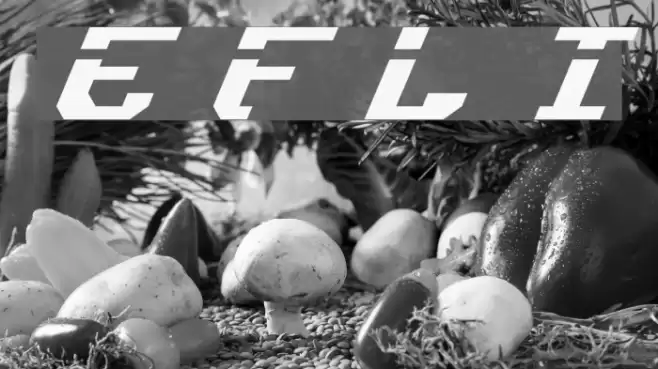 Ensign Flandry Laser Italic Fuentes examples