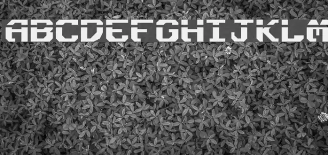 Ensign Flandry Laser Font examples