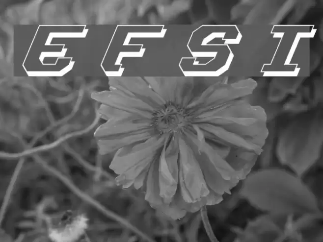 Ensign Flandry Shadow Italic Font examples