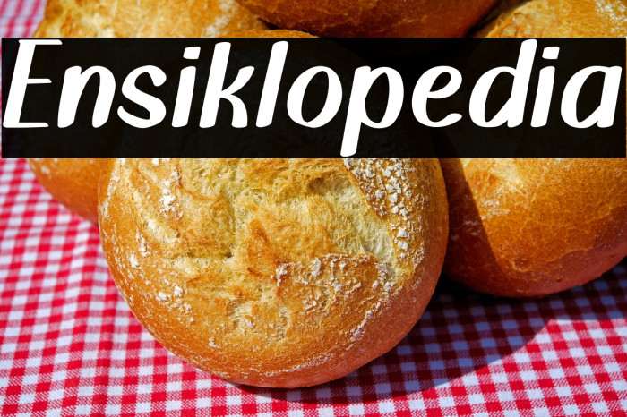 Ensiklopedia Example 3