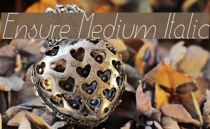 Ensure Medium Italic Font examples