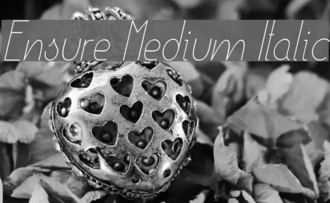 Ensure Medium Italic  examples