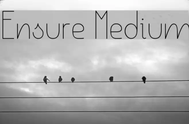 Ensure Medium Font examples