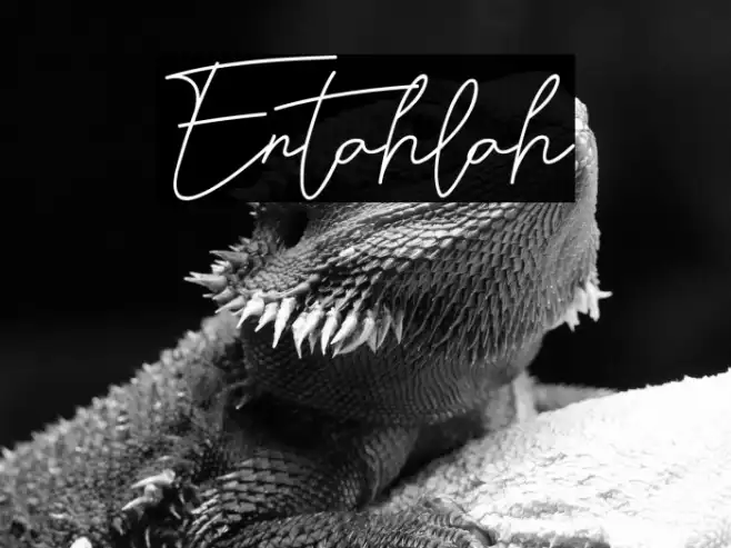 Entahlah Example 2
