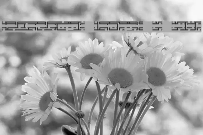 Entangled Layer B BRK Font examples