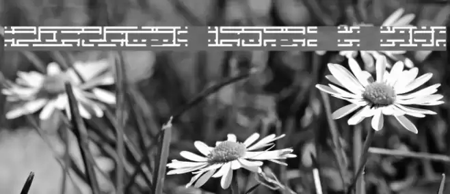 Entangled Layer B BRK Font examples