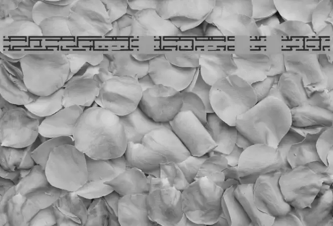 Entangled Layer B BRK Font examples