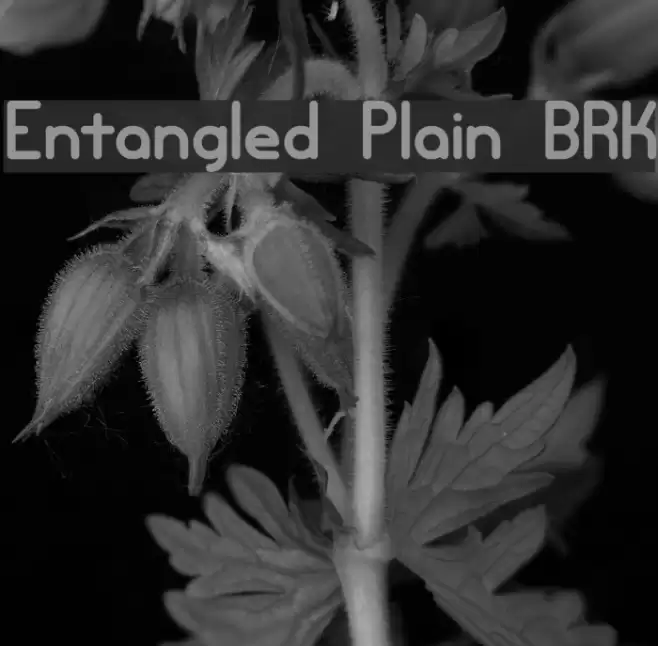 Entangled Plain BRK Font examples