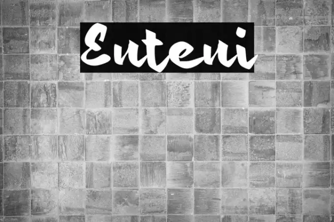 Enteni Example 1