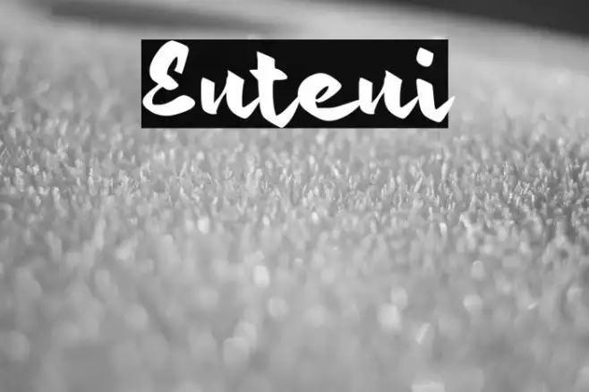 Enteni Example 3