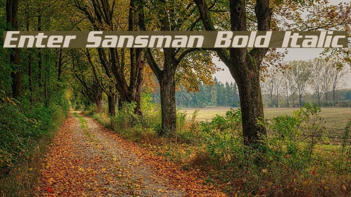 Enter Sansman Bold Italic Font examples