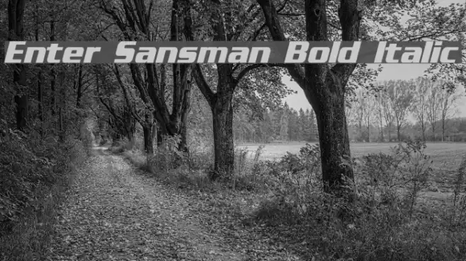 Enter Sansman Bold Italic フォント examples