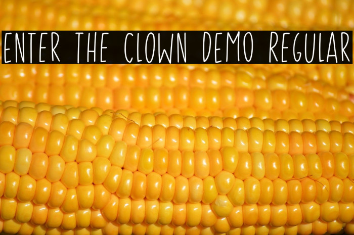 Enter The Clown DEMO Regular Example 2