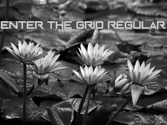 Enter The Grid Regular Font examples