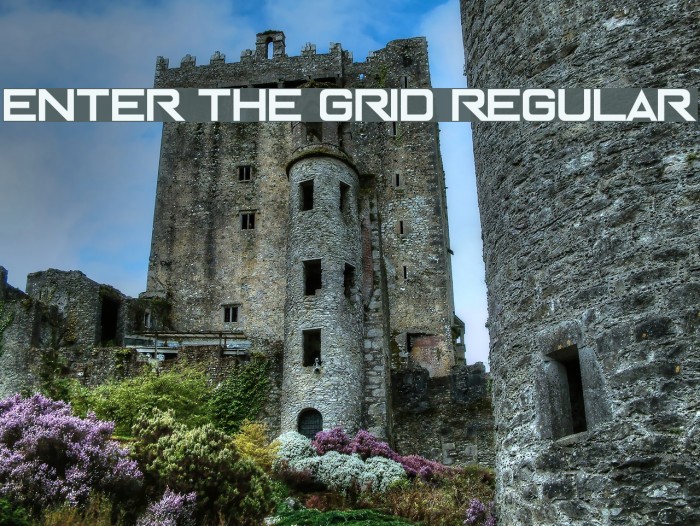 Enter The Grid Regular Font examples