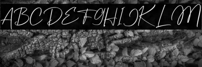 Enterlight PERSONAL USE ONLY! Caratteri examples