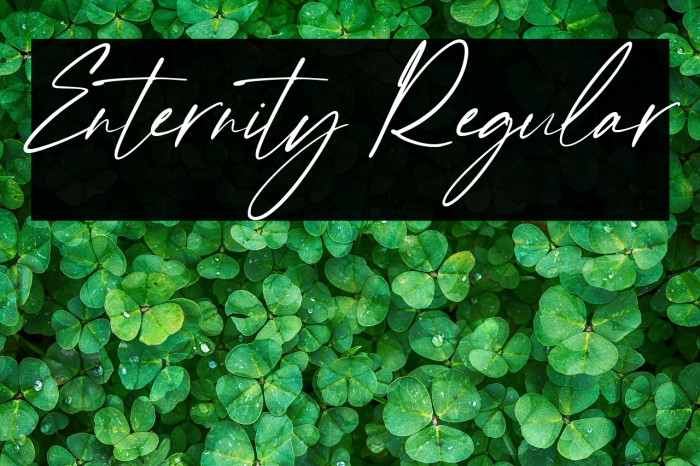 Enternity Regular Example 3