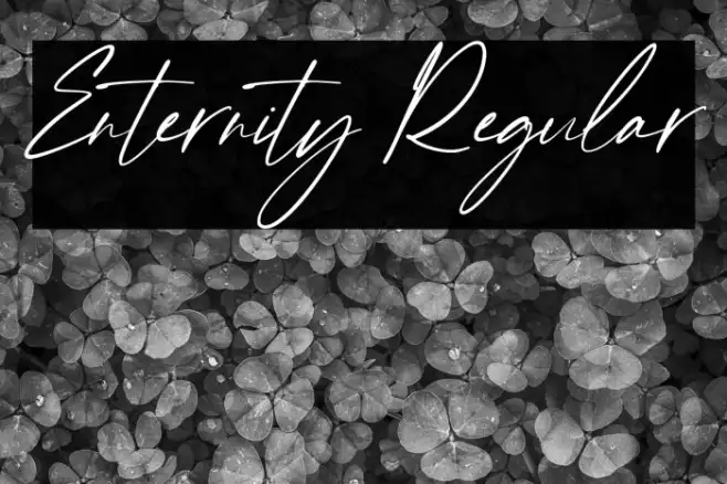 Enternity Regular Example 3