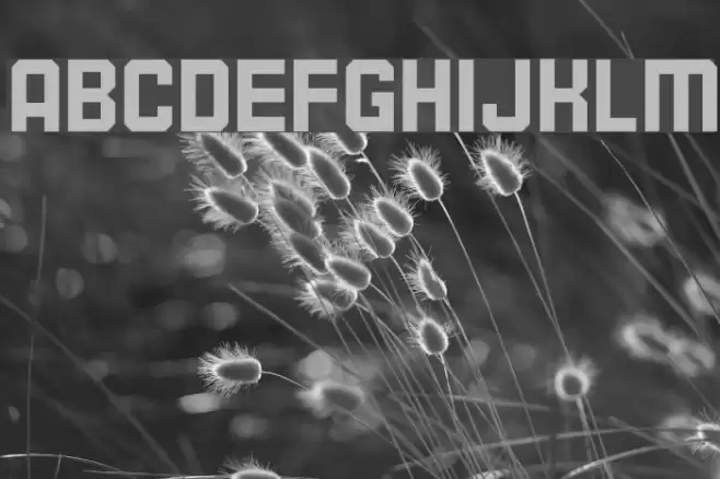 Enterprise Font examples