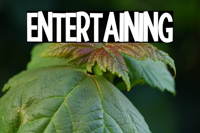 Entertaining Example 3