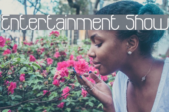 Entertainment Show フォント examples