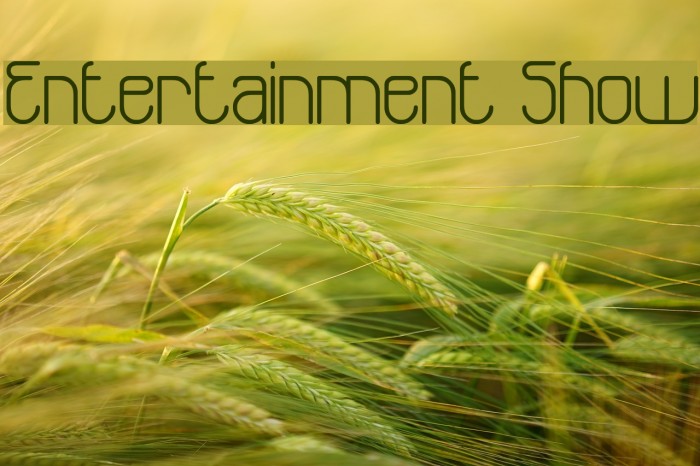 Entertainment Show フォント examples