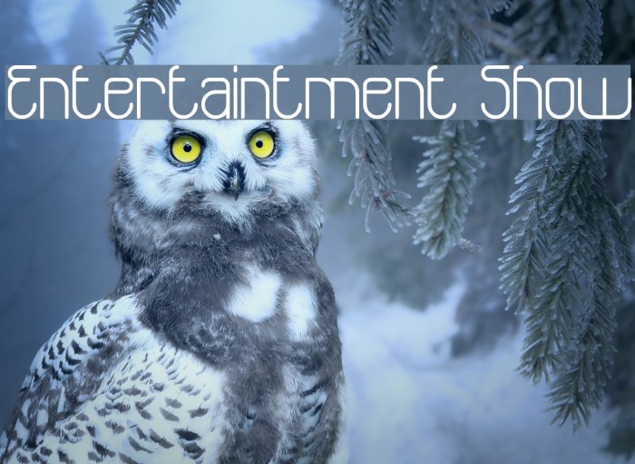 Entertaintment Show Example 2