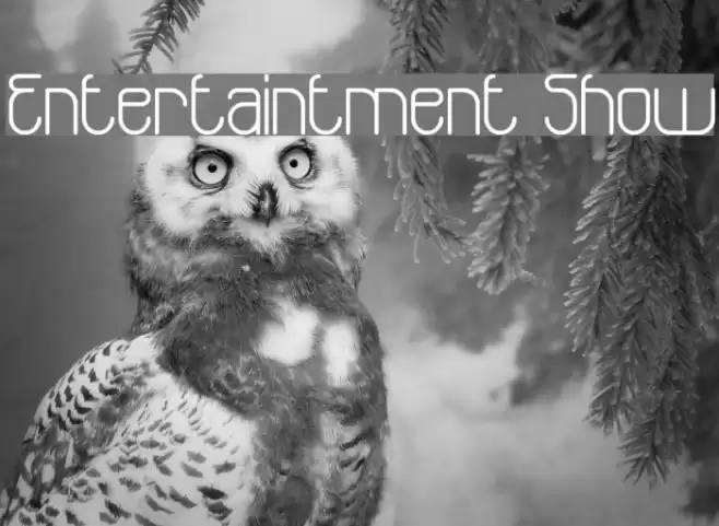 Entertaintment Show Font examples