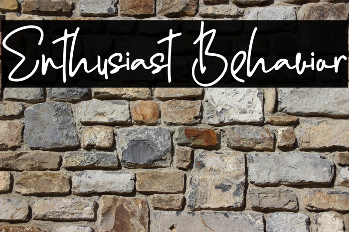 Enthusiast Behavior Font examples