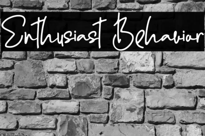 Enthusiast Behavior Polices examples