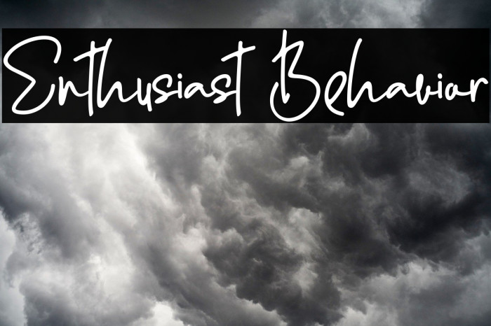Enthusiast Behavior Font examples