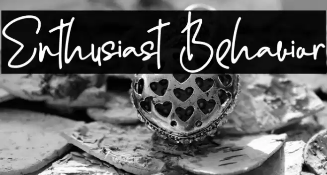 Enthusiast Behavior Polices examples