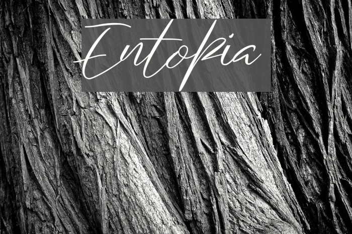 Entopia Font examples