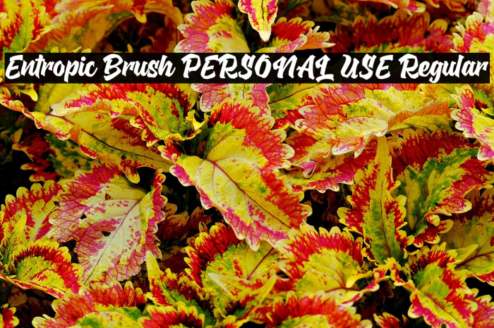 Entropic Brush PERSONAL USE Regular Example 3