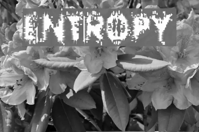 Entropy Font examples