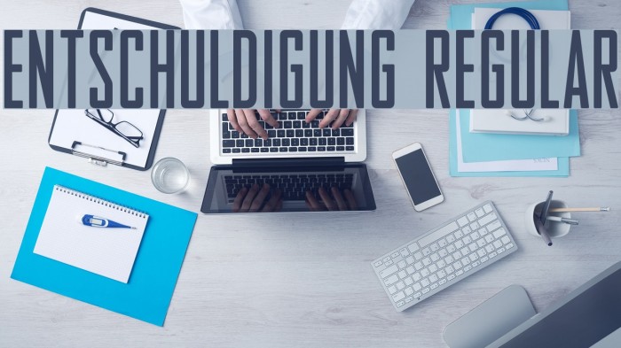 Entschuldigung Regular Font examples