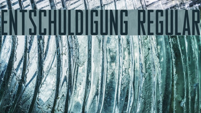 Entschuldigung Regular Font examples