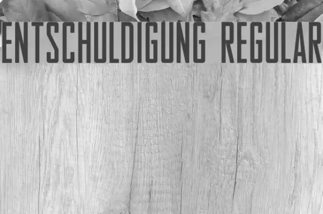 Entschuldigung Regular Font examples