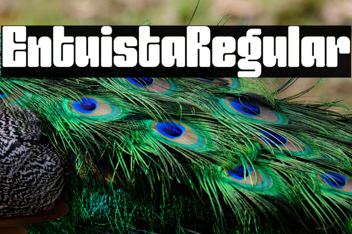 Entuista-Regular Example 1