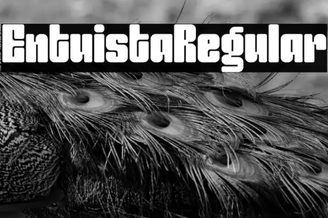 Entuista-Regular Example 1