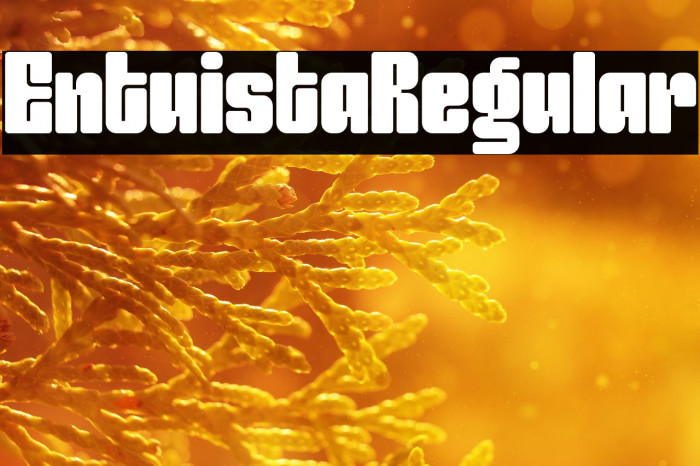 Entuista-Regular Example 2