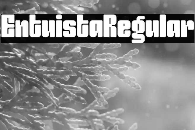 Entuista-Regular Example 2