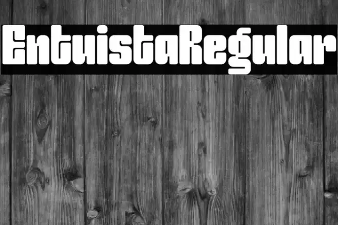 Entuista-Regular Example 3